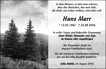 Traueranzeige von Hans Marr von Südthüringer Presse